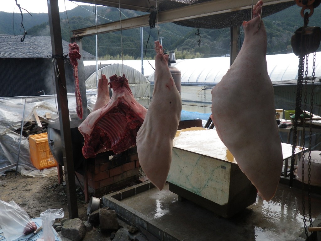 閲覧注意 猪の解体 恵菜ファーム